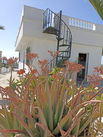 casa-o-chalet-independiente-en-venta-en-granadilla-big-15