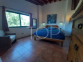 casa-rural-en-venta-en-charco-del-pino-small-20