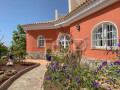 casa-rural-en-venta-en-guia-de-isora-small-21