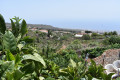 finca-rustica-en-venta-en-guia-de-isora-small-7