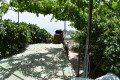 finca-rustica-en-venta-en-guia-de-isora-small-11