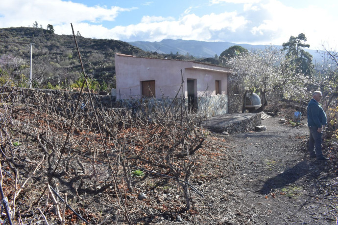 finca-rustica-en-venta-en-guia-de-isora-big-5