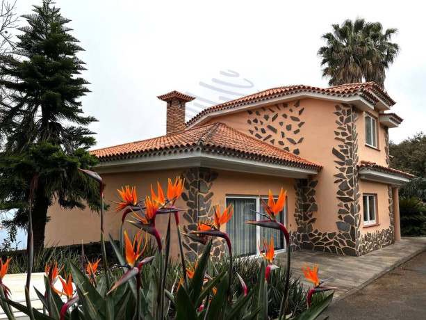 casa-o-chalet-independiente-en-venta-en-caneno-big-11