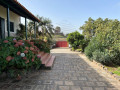 finca-rustica-en-venta-en-camino-canada-small-18