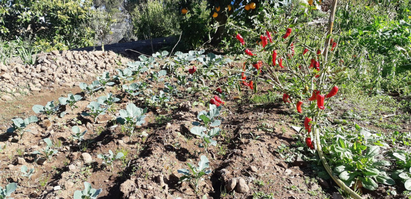 casa-rural-en-venta-en-lugar-cueva-del-negro-big-15