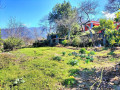 finca-rustica-en-venta-en-la-perdoma-san-antonio-benijos-small-27