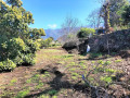 finca-rustica-en-venta-en-la-perdoma-san-antonio-benijos-small-26