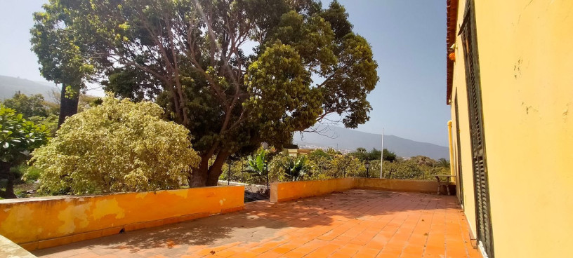 finca-rustica-en-venta-en-tf-322-big-17