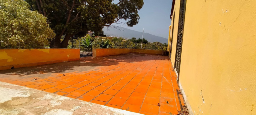 finca-rustica-en-venta-en-tf-322-big-16