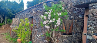 Finca rústica en venta en camino Lomo de la Viuda