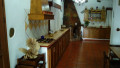 finca-rustica-en-venta-en-camino-el-madrono-sn-small-7