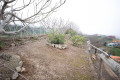 finca-rustica-en-venta-en-montana-zamora-cruz-santa-palo-blanco-small-3