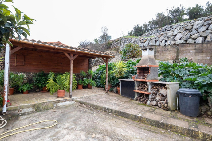 finca-rustica-en-venta-en-montana-zamora-cruz-santa-palo-blanco-big-4