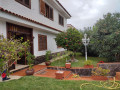 casa-o-chalet-independiente-en-venta-en-calle-ecuador-small-4