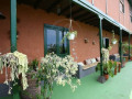 casa-o-chalet-independiente-en-venta-en-longuera-toscal-small-14